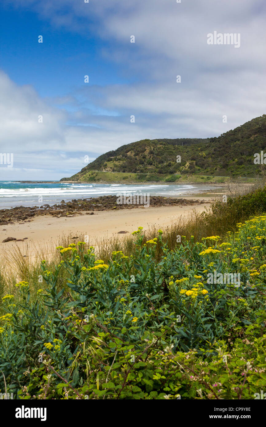 malerische Bucht, zwischen Torquay und Lorne, Great Ocean Road, Victoria, Australien Stockfoto