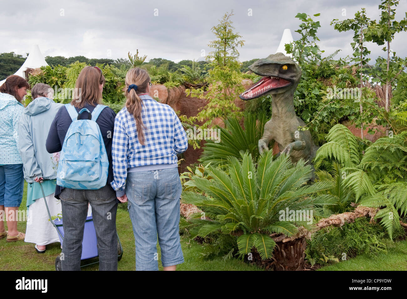 Dinosaurier enthusiasten Fotos und Bildmaterial in hoher Auflösung