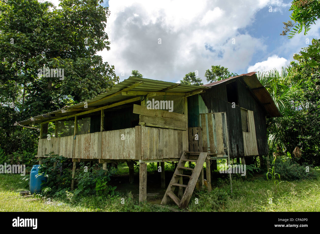 Secoya Stamm Secoya Lodge Amazonasbecken Aguarico Fluss Tierras Orientales Ecuador Stockfoto