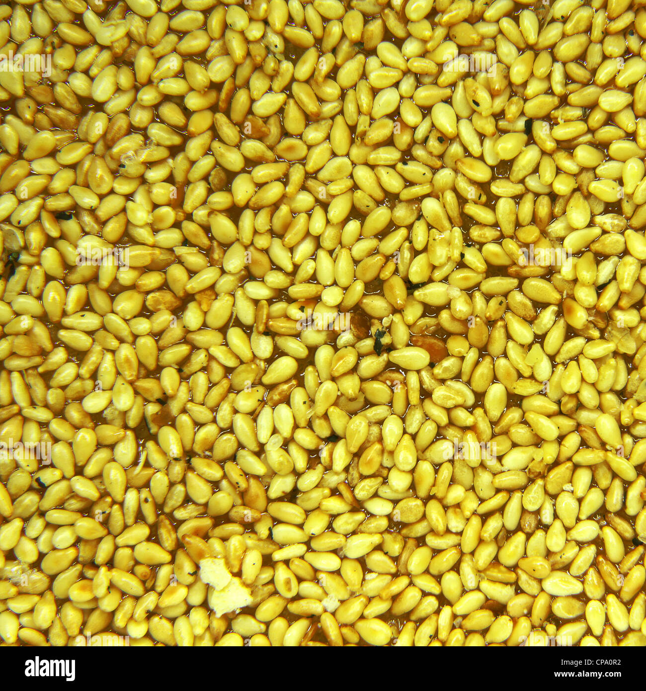 Gelbe Sesam Samen Süßigkeiten Stockfoto