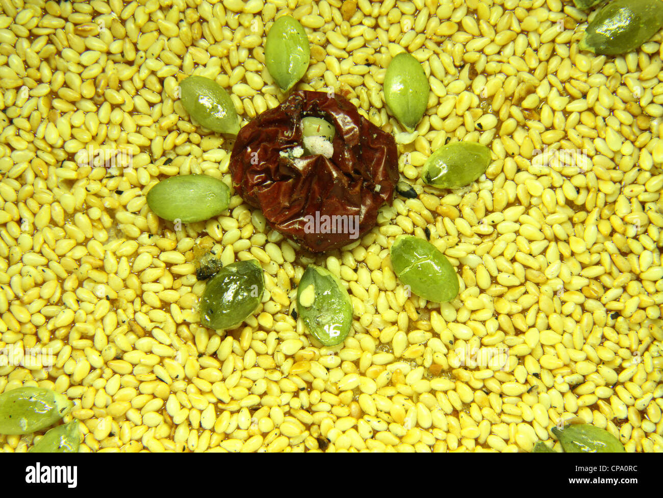 Koreanische gelb Sesam Samen Süßigkeiten mit getrockneten Früchten und Nüssen Stockfoto