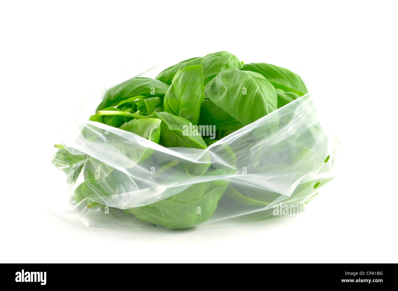 Durchsichtigen Beutel mit frisch gepflückten Bio Basilikum auf weißem Hintergrund Stockfoto
