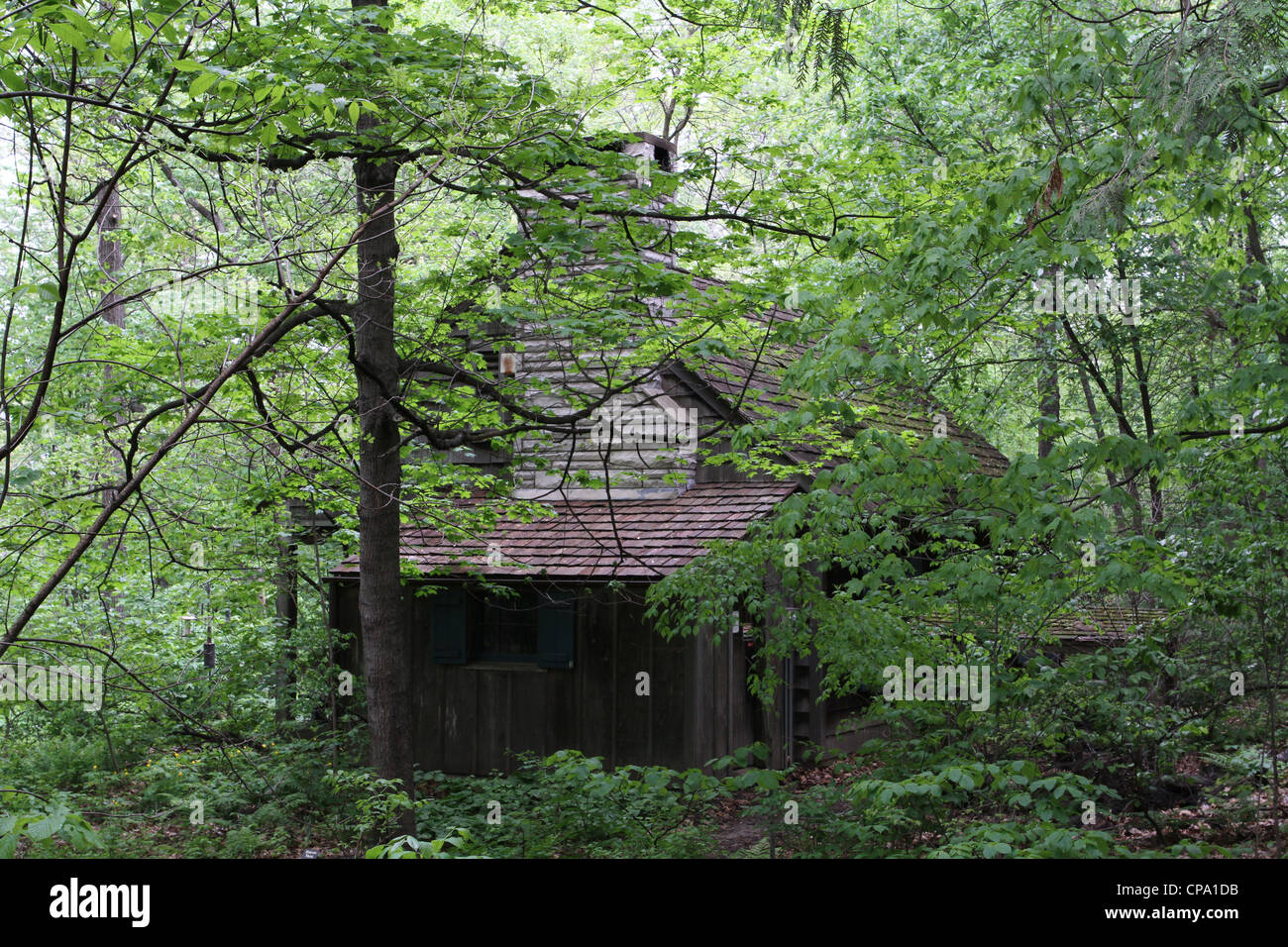 Eine Hütte im Wald. Stockfoto