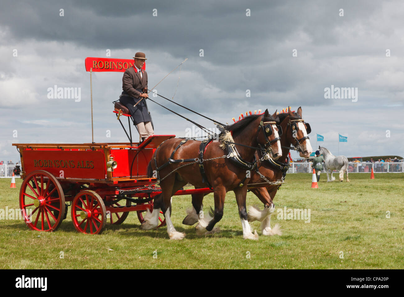 Zwei Shire Pferde ziehen einen Robinsons Ales Brauer Dray auf der Anglesey Show in der Mona Showground. Anglesey, North Wales, UK Stockfoto