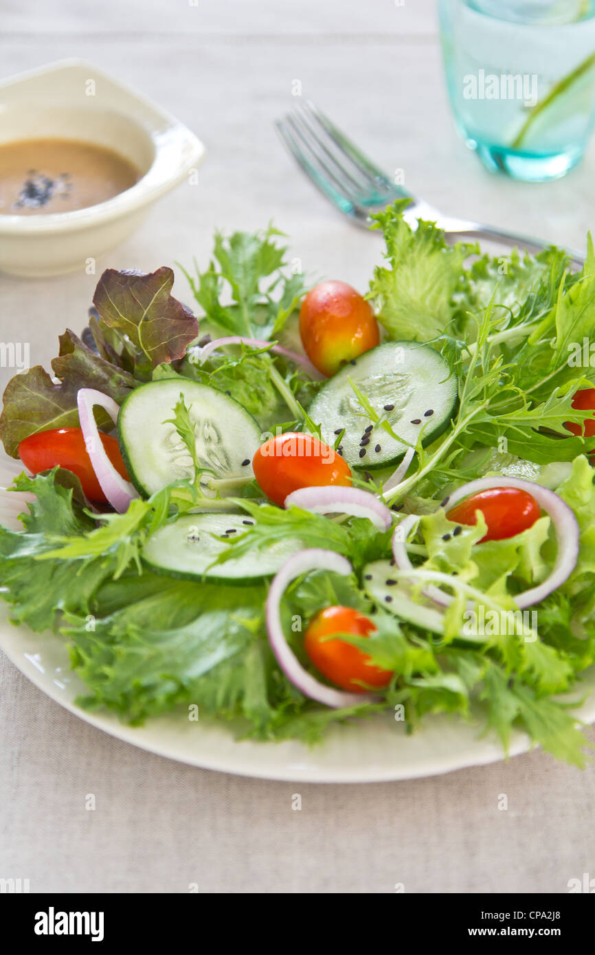 Frischer Salat mit Sesamdressing Stockfoto