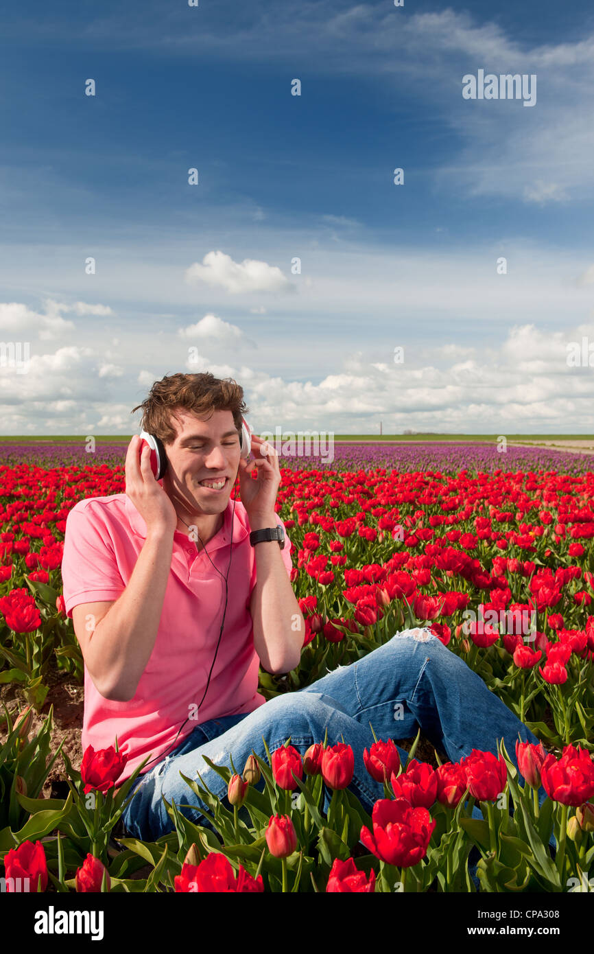 Niederländische Mann sitzt in Blume Felder Listeing zu cooler Musik Stockfoto