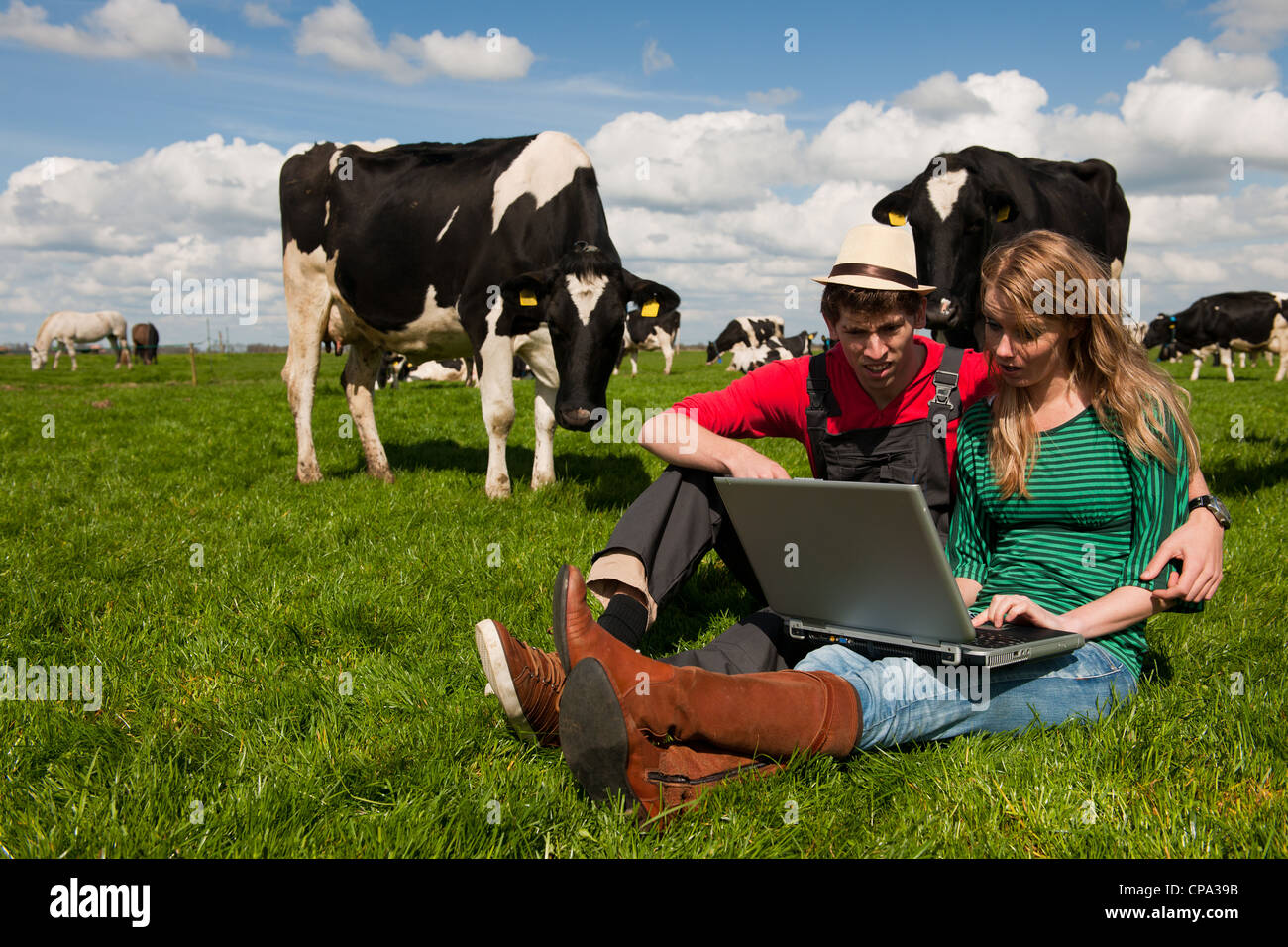 Junges Paar Bauern in Feld-Hof mit Laptop und schwarze und weiße Kühe Stockfoto