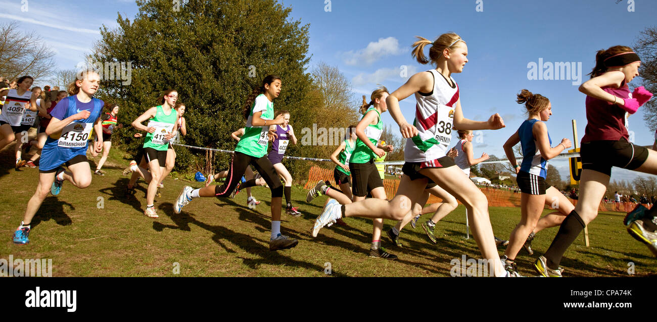 Inter Grafschaften Cross Country Running Meisterschaften Cofton Park, Rednal, Birmingham, England, Vereinigtes Königreich Stockfoto