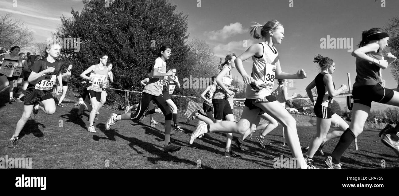 Inter Grafschaften Cross Country Running Meisterschaften Cofton Park, Rednal, Birmingham, England, Vereinigtes Königreich Stockfoto
