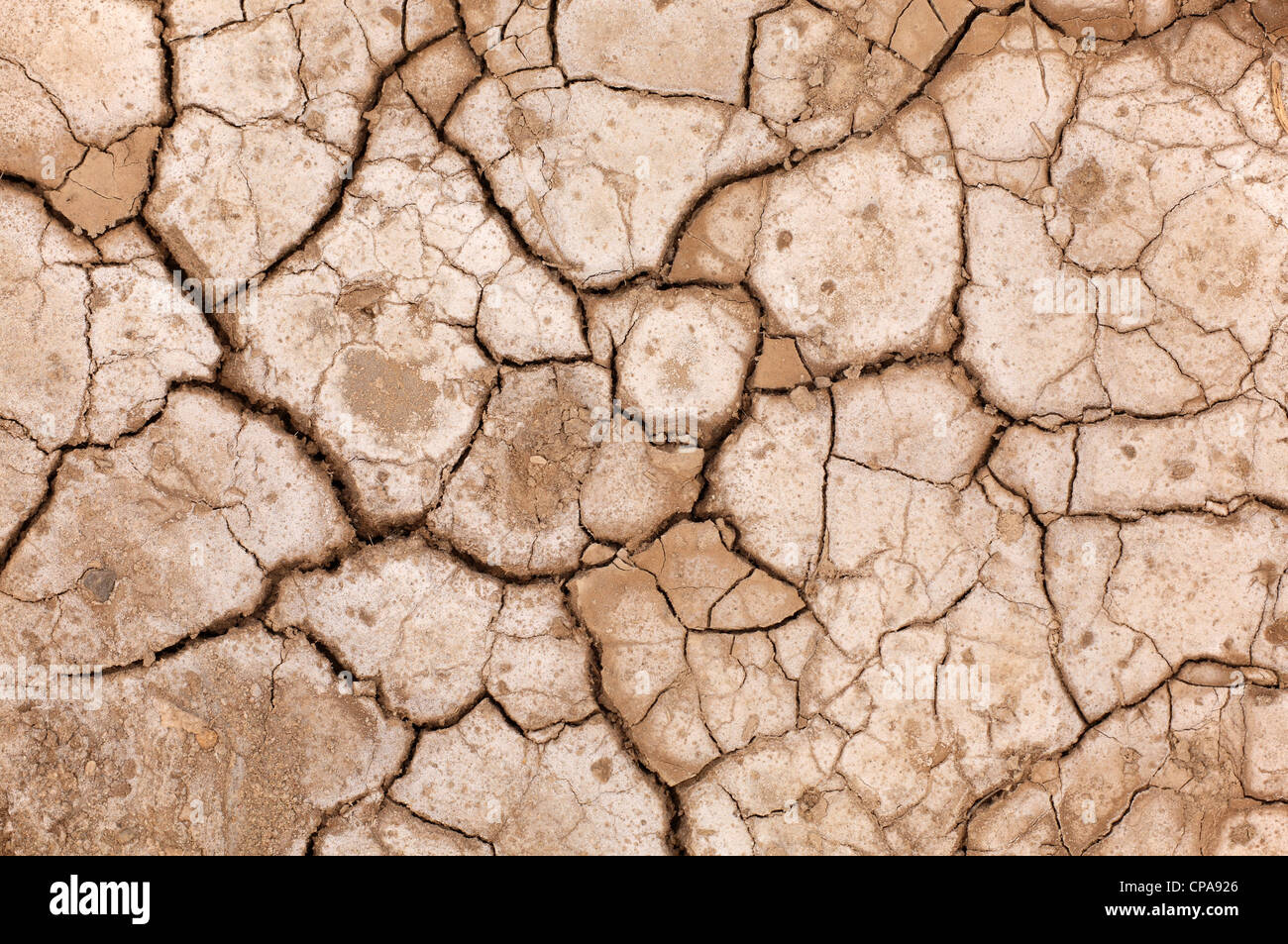 Rissig, getrocknete Erde, Narbonne, Frankreich Stockfoto