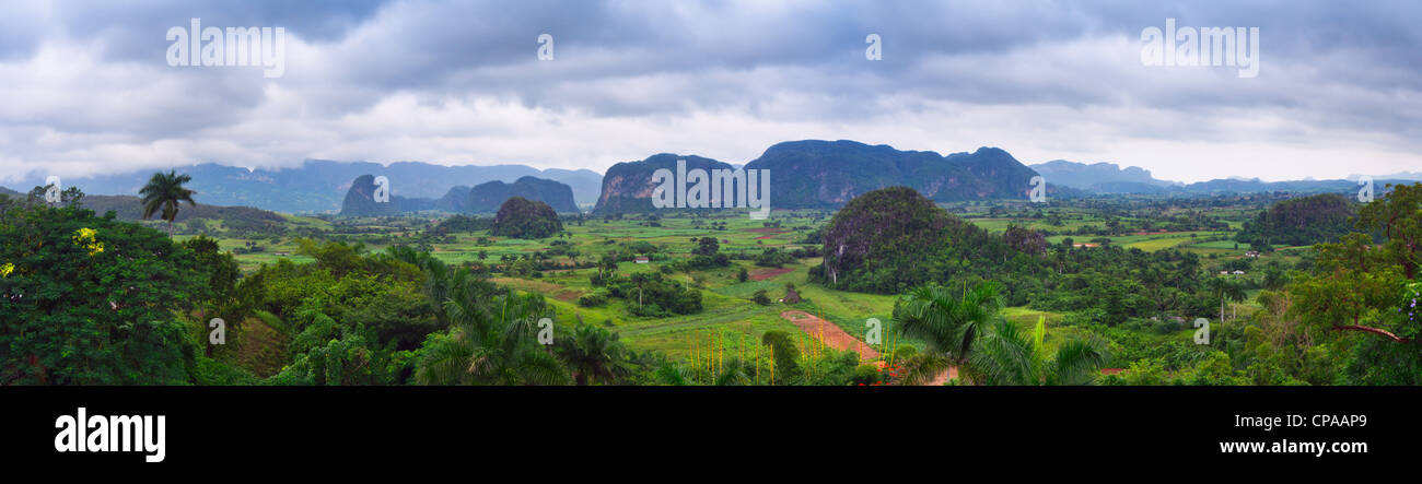 Das Vinales Tal in Kuba, ein beliebtes Ferienziel und ein großer Tabak Anbaugebiet Stockfoto