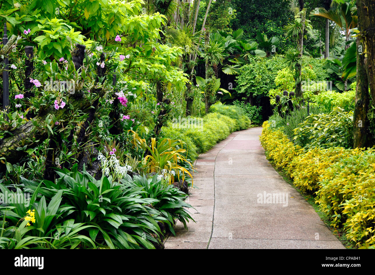 Orchidee Garten Singapur Botanischer Garten Stockfoto