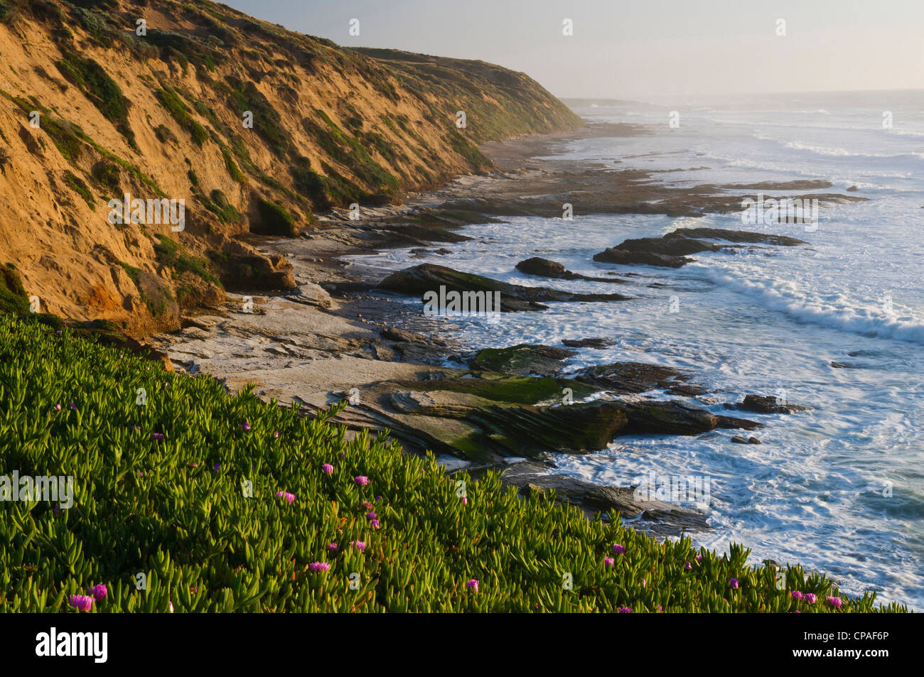 USA, Kalifornien, Montana de Oro State Park. Malerischen Zentrum kalifornischen Küste in der Nähe von San Luis Obispo. Stockfoto