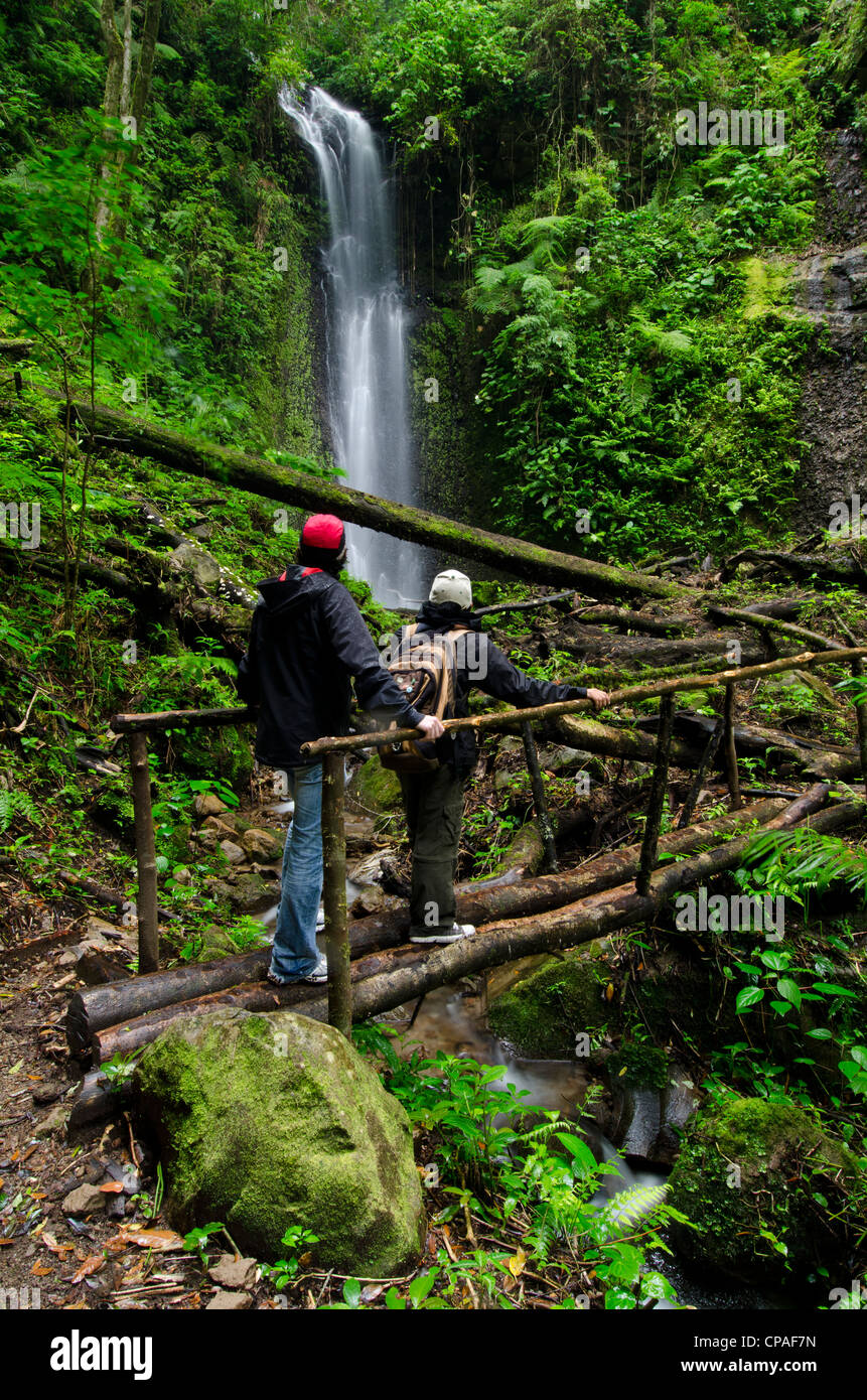 Wasserfall im Regenwald, La Amistad international park Stockfoto