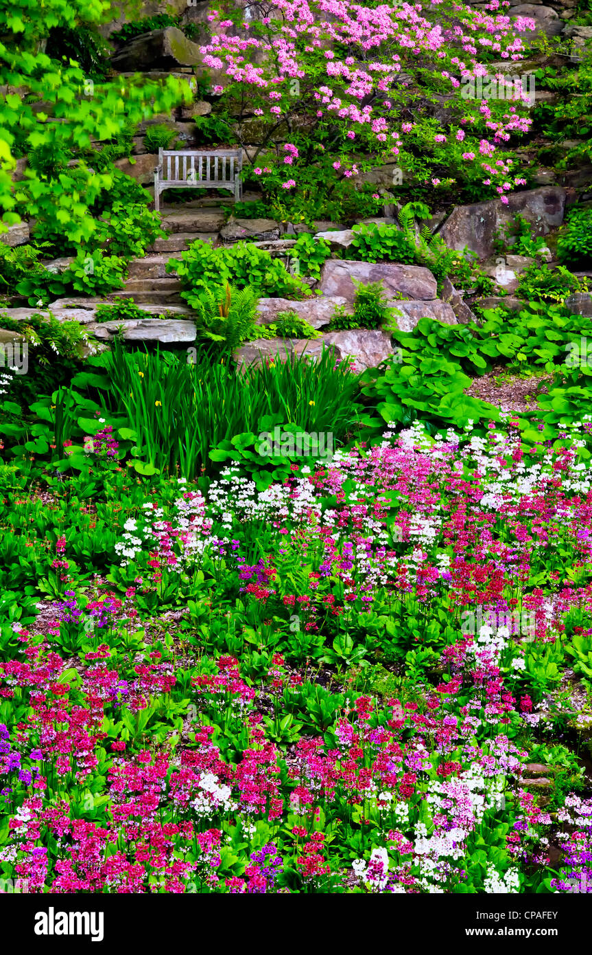 USA, Delaware, Wilmington, Steinbruch Garten. Blumen im Überfluss im Garten Stockfoto