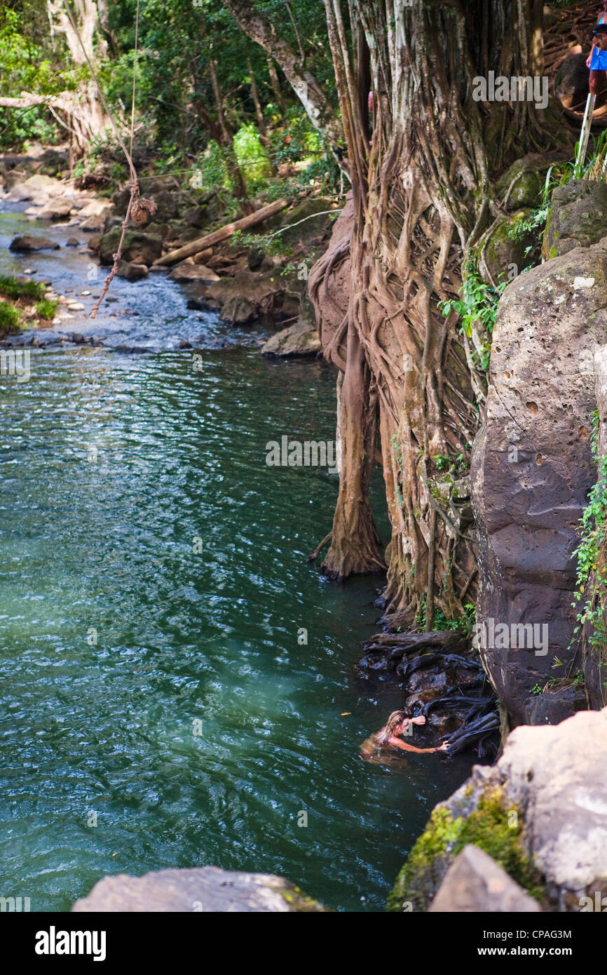 Kauai, Hawaii, USA. Kipu Falls. Eine gigantische Seil Swing erlaubt für Abenteuerlustige, von der Klippe und ins Wasser schwingen. (MR) Stockfoto