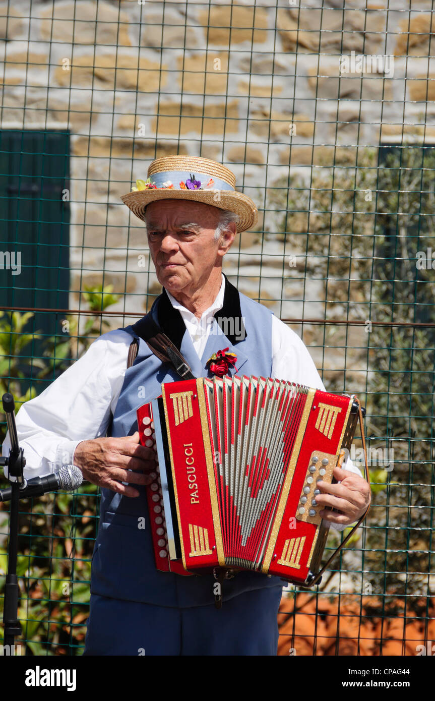 Padna, Slowenien, Dorf mit saisonalen Olivenöl Wein und Bauernhof produzieren feste - Volksmusik Konzert beim Festival. Akkordeon Stockfoto