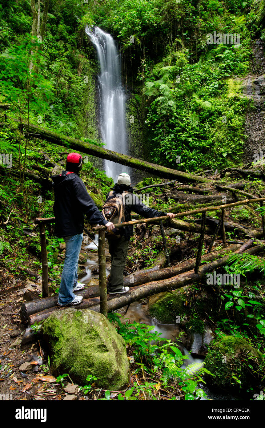 Wasserfall im Regenwald, La Amistad international Park, Provinz Chiriqui, Panama Stockfoto