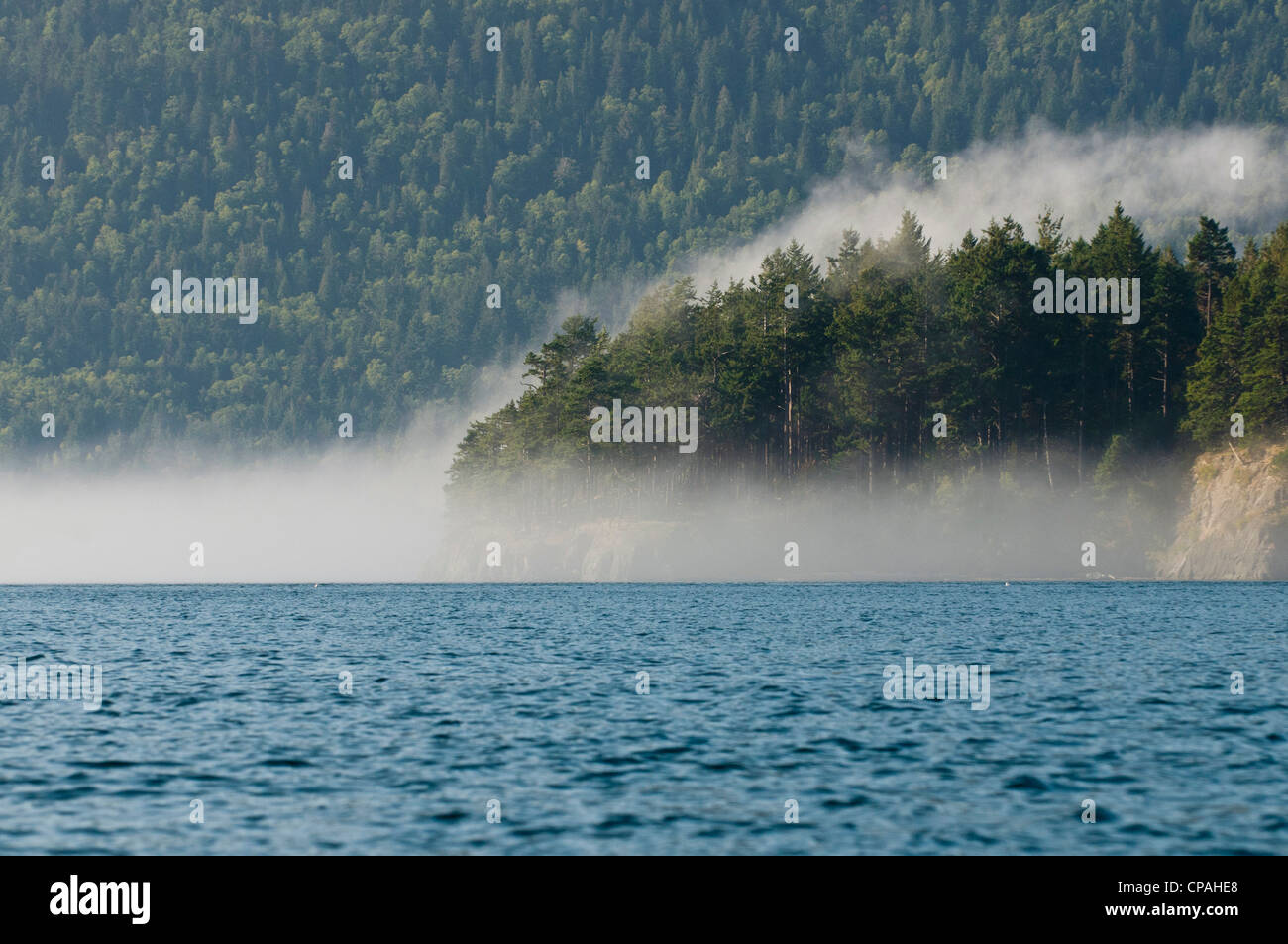 USA, WA, San Juan Inseln. Am frühen Morgen Nebel Formen entlang Landmasse. Stockfoto