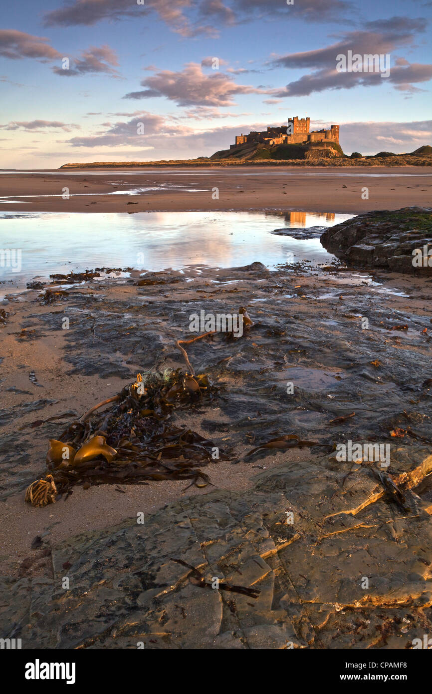 Bamburgh Castle in Northumberland Küste bei Sonnenuntergang. Stockfoto