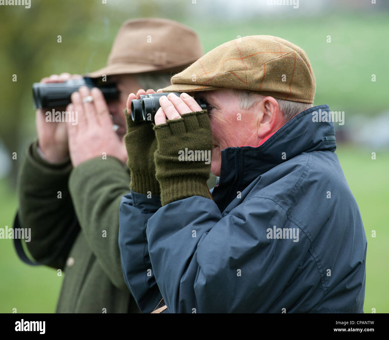 Pferderennen beobachten mit dem Fernglas Stockfoto
