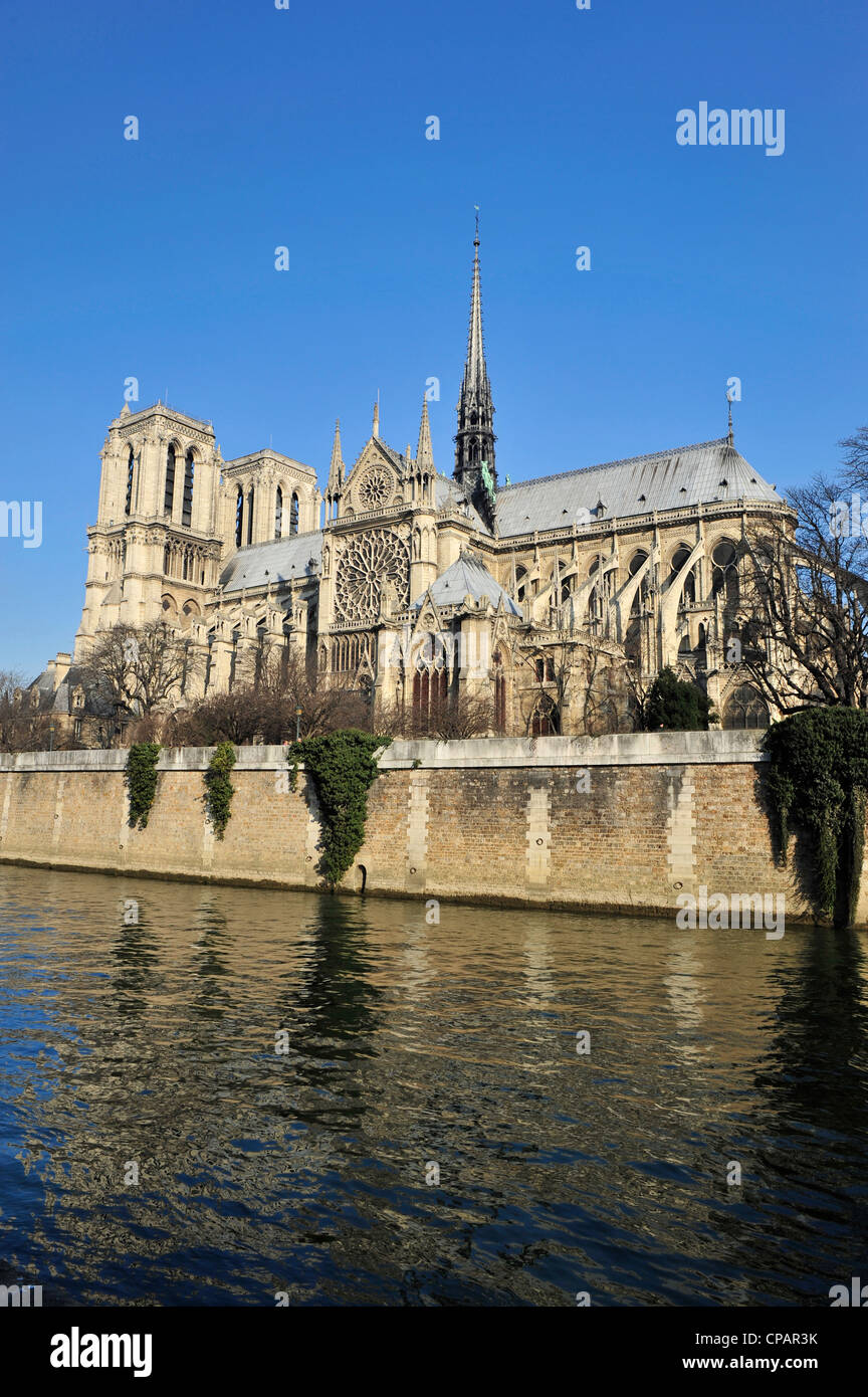 Notre Dame und Fluss Seine, Paris, Frankreich, Europa Stockfoto