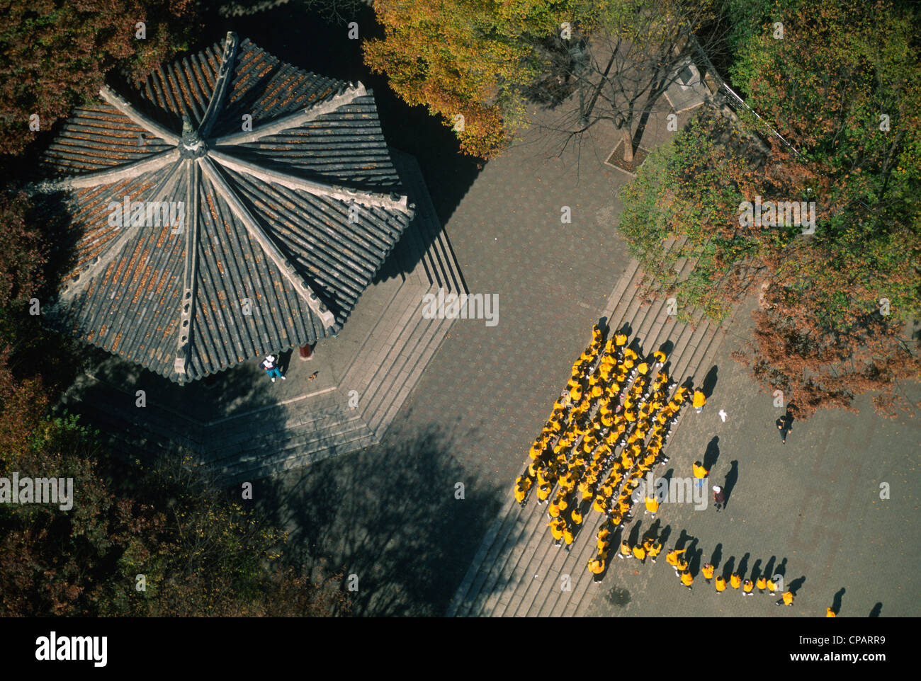 Südkorea, Seoul, Mt Namsan Park, Gruppe von Schülern, Stockfoto
