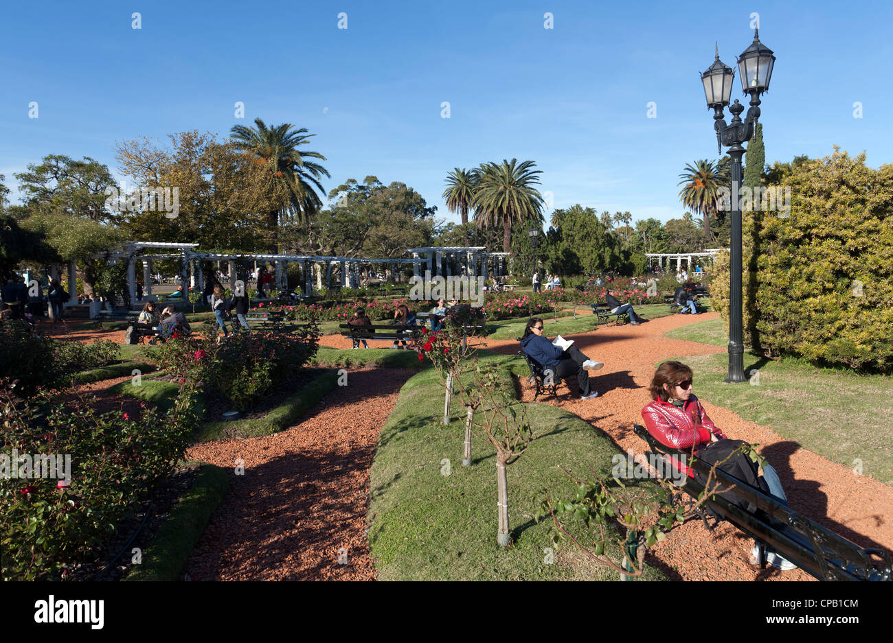 El Rosedal Rosengarten, Palermo, Buenos Aires Argentinien Stockfoto
