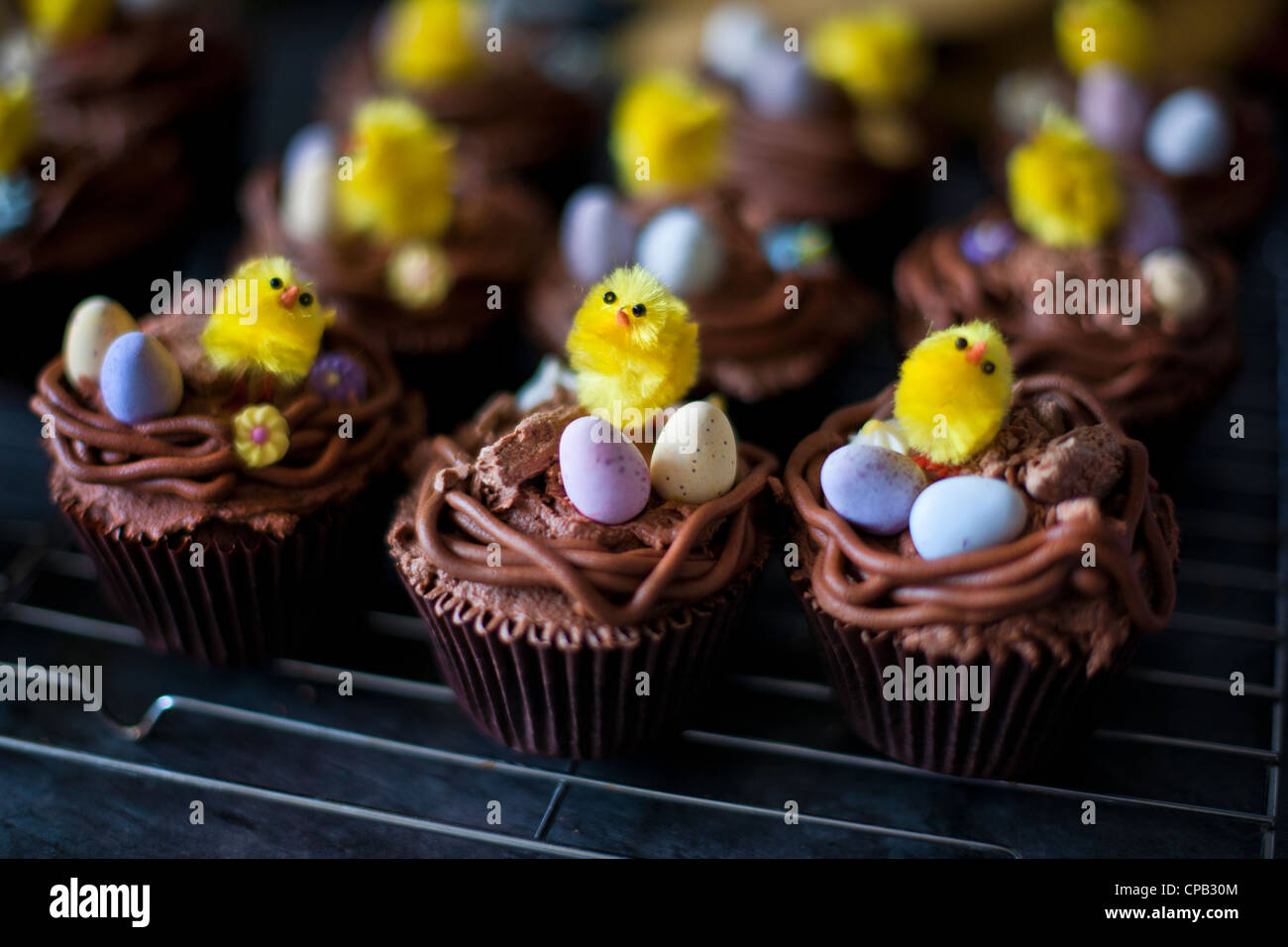 Osterei-Cupcakes mit kleinen gelben Küken auf Rack-Kühlung Stockfoto