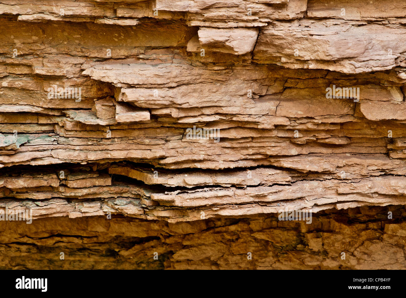 Mauv Kalkstein (Kambrium) in den Grand Canyon in der Nähe Fluss Meile 56 (Kwagunt Bach) Stockfoto