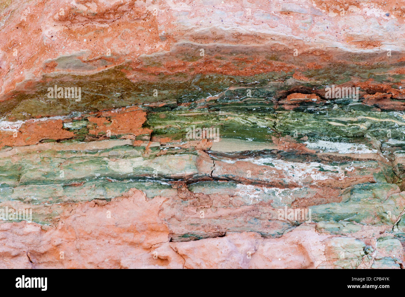 Mauv Kalkstein (Kambrium) in den Grand Canyon in der Nähe Fluss Meile 56 (Kwagunt Bach) Stockfoto