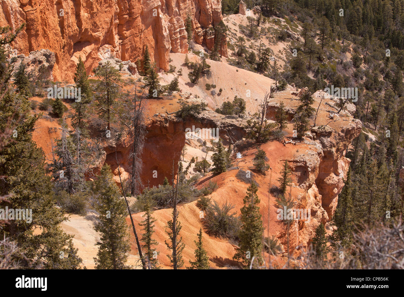 Bryce Canyon National Park, Utah. Sandstein-Formationen in der Wüste. Foto neu zu entfachen. Stockfoto