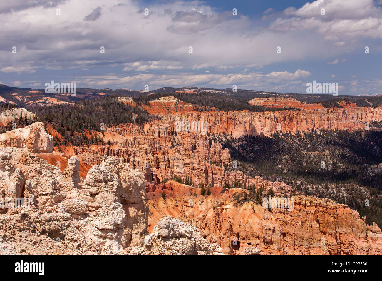 Bryce Canyon National Park, Utah. Sandstein-Formationen in der Wüste. Foto neu zu entfachen. Stockfoto