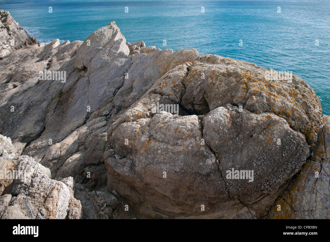 Fossiler Wald, Lulworth Cove, Dorset, Engalnd Stockfoto