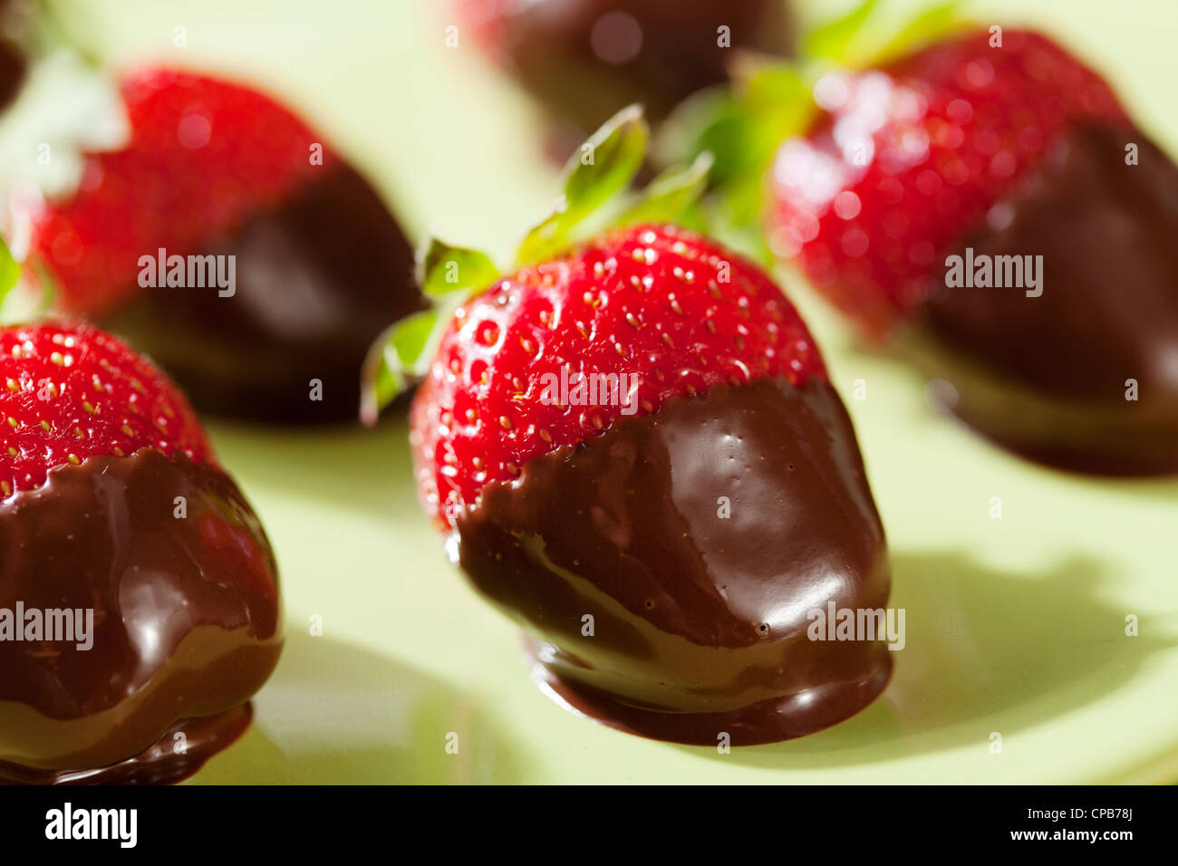 Schokolade getauchte Erdbeeren Stockfoto