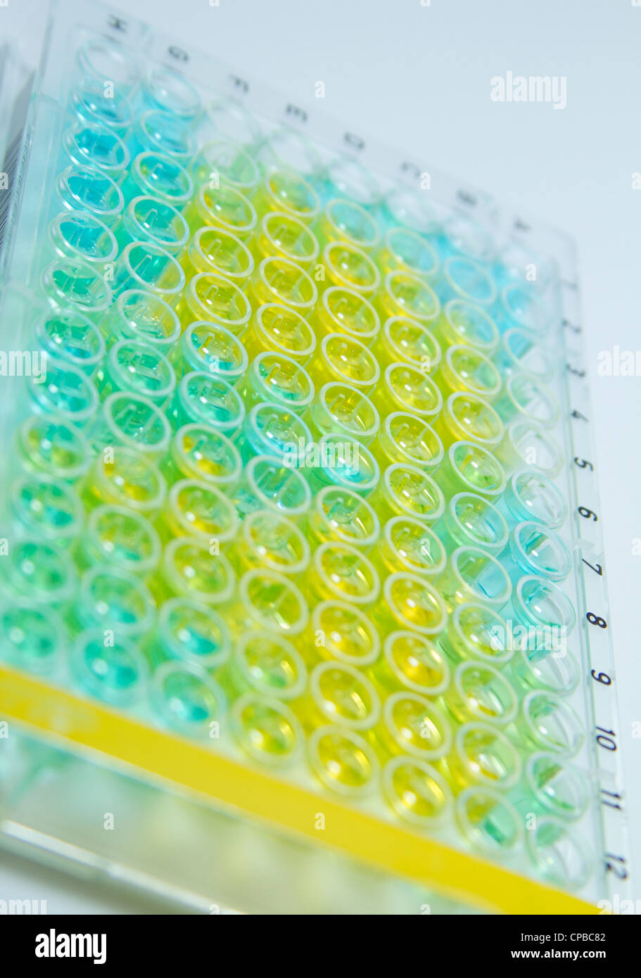 Eine 96-well-Platte verwendet in medizinischen und chemischen Untersuchungen zur Umfrage-Real-Time PCR und anderes Labor tests Stockfoto