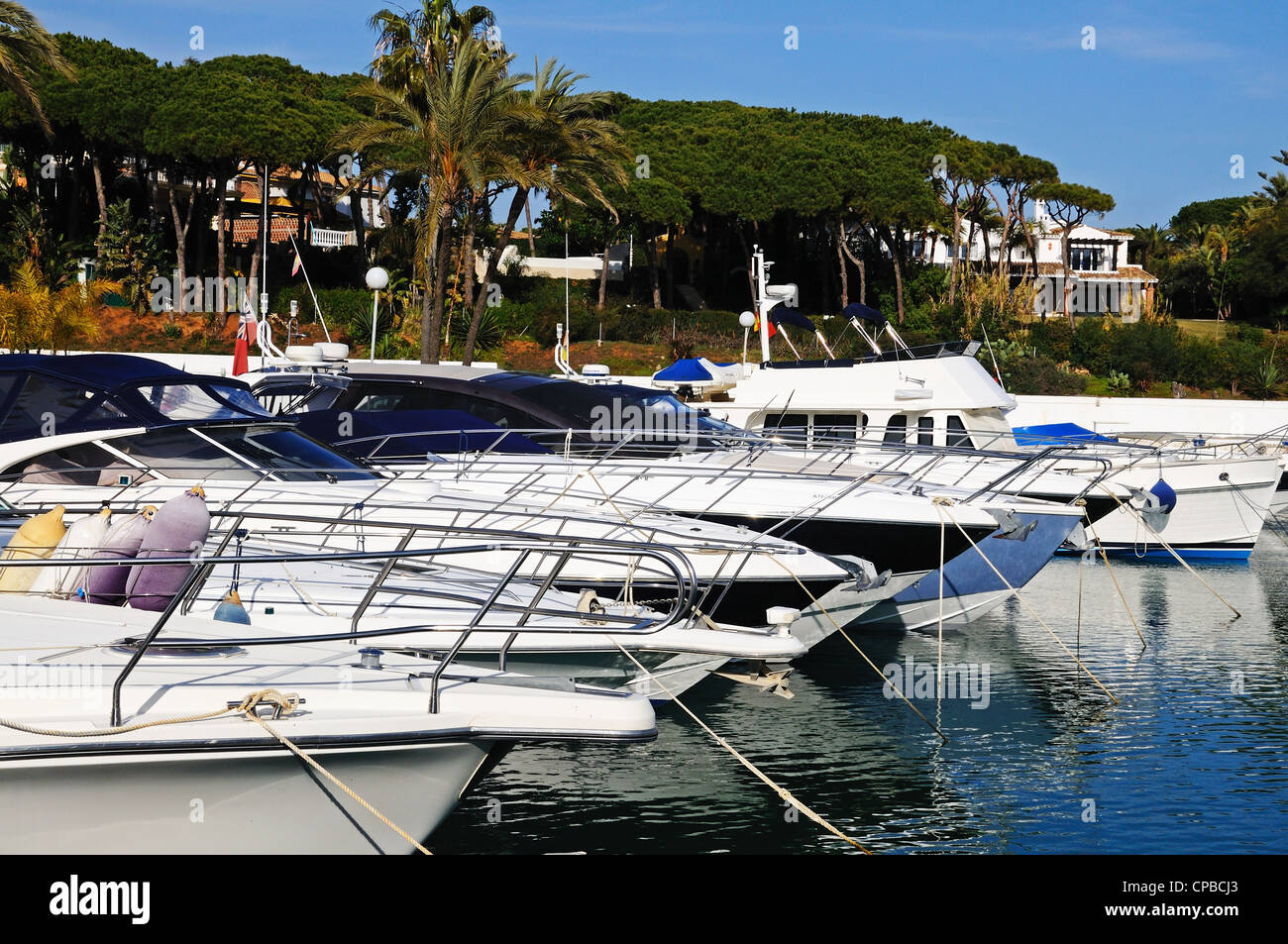 Zeile der Kreuzer im Hafen, Puerto Cabopino, Costa del Sol, Provinz Malaga, Andalusien, Spanien in Westeuropa. Stockfoto