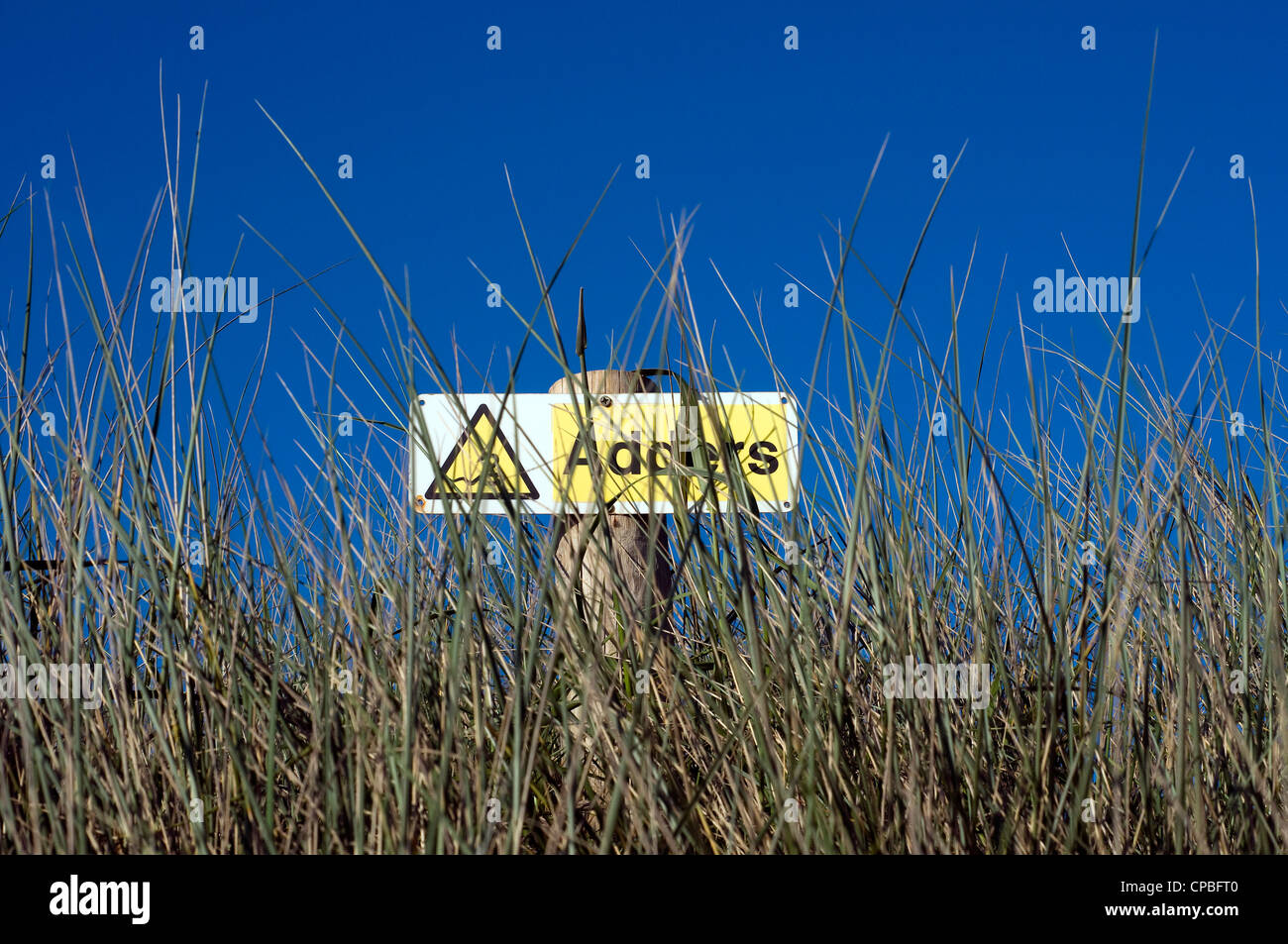 Kreuzottern Zeichen und lange Grass, Devon Küste Dorf der Größe Stockfoto