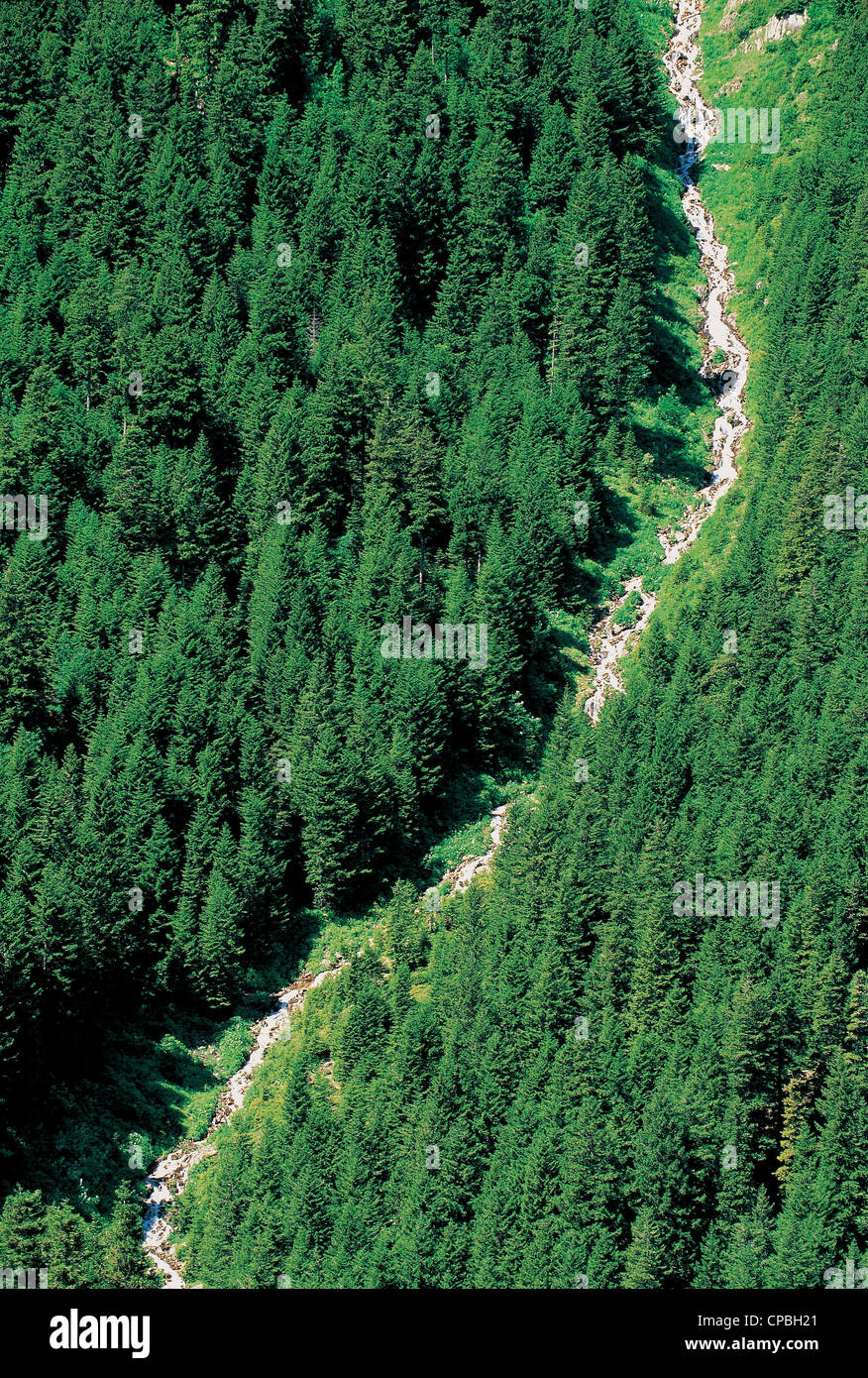 Gebirgsbach in Zigana Bergen Trabzon Türkei Stockfoto