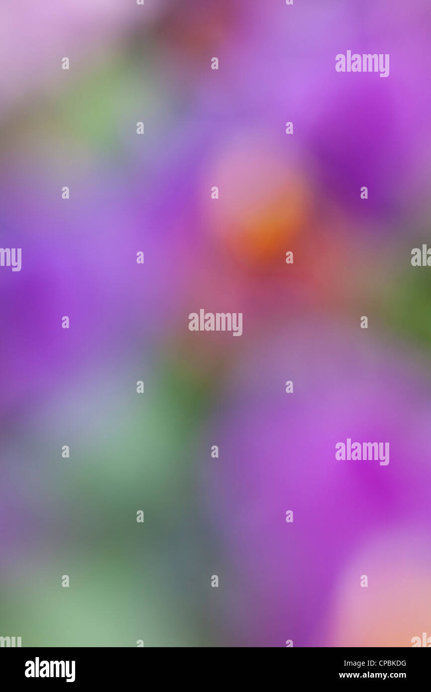 Abstrakte soft-fokussierte Hintergrund mit lebendigen Farben Stockfoto