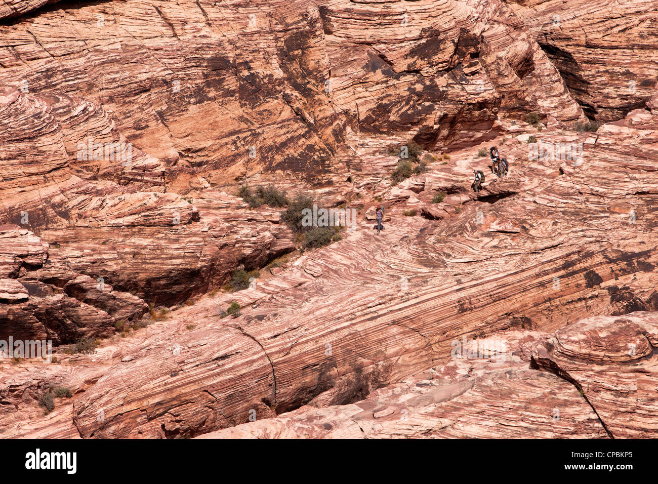 Calico Berg in Red Rock Naturschutzgebiet nördlich von Las Vegas Nevada.  Sandstein-Formationen in der Wüste. Foto neu zu entfachen. Stockfoto
