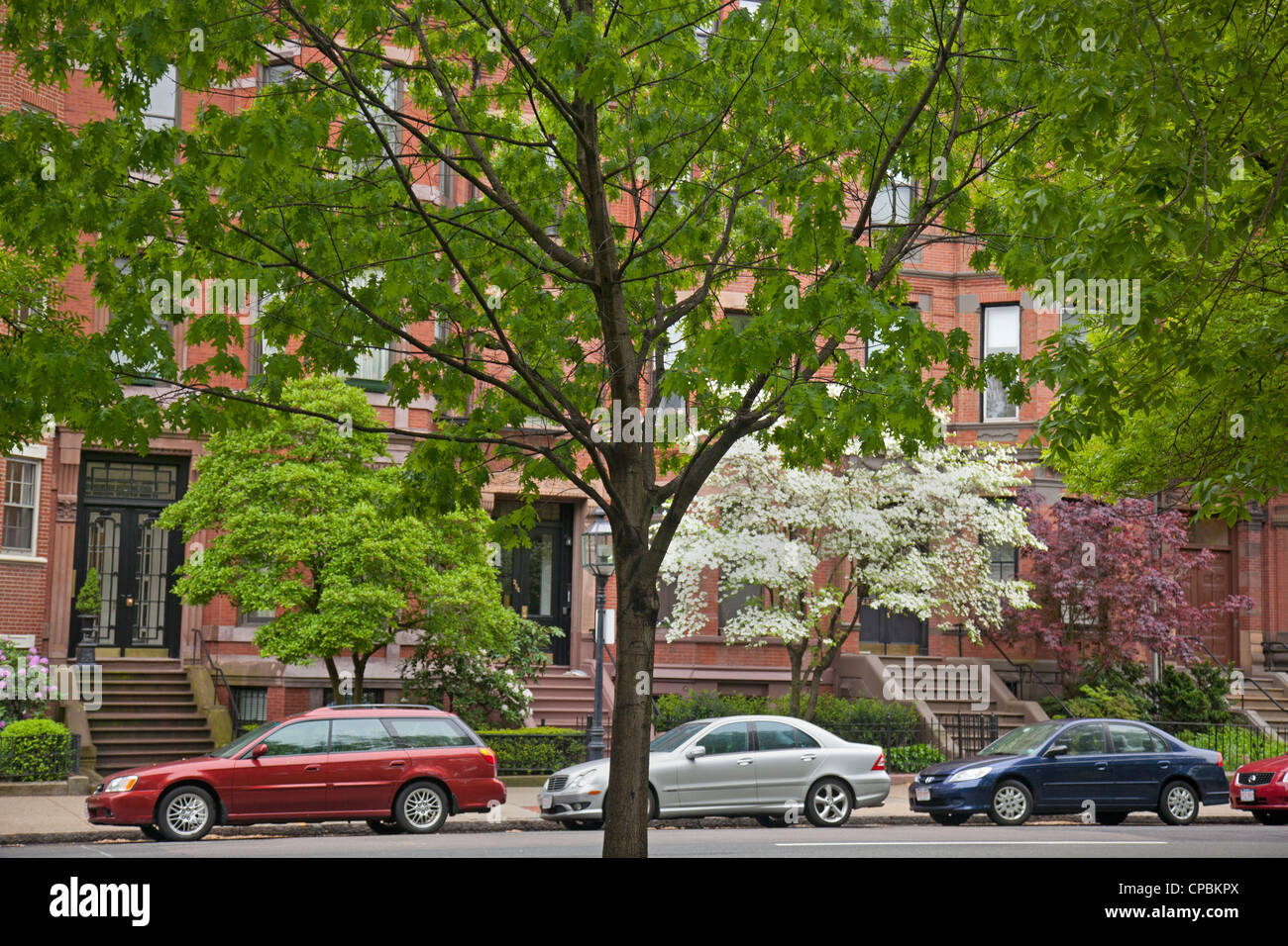 Commonwealth Avenue Boston MA Stockfoto