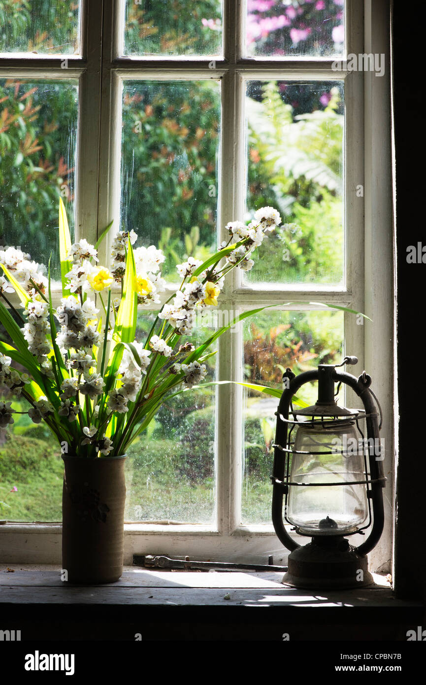 Vase mit Blumen und eine alte Öllampe im Fenster des Amtes Kopf Gärtner. Lost Gardens of Heligan, Cornwall, England Stockfoto