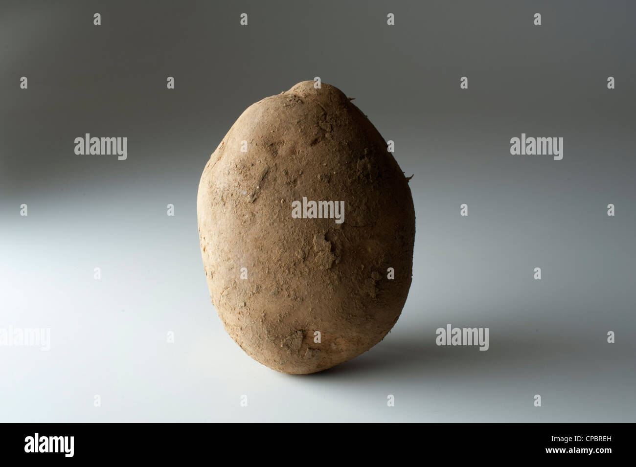 OBST UND GEMÜSE STUDIO AUFNAHMEN FRISCHEN ROHEN KARTOFFEL ZWIEBEL PFEFFER TOMATEN BIRNE KOKOS KEINE EINFACHEN HINTERGRUND Stockfoto