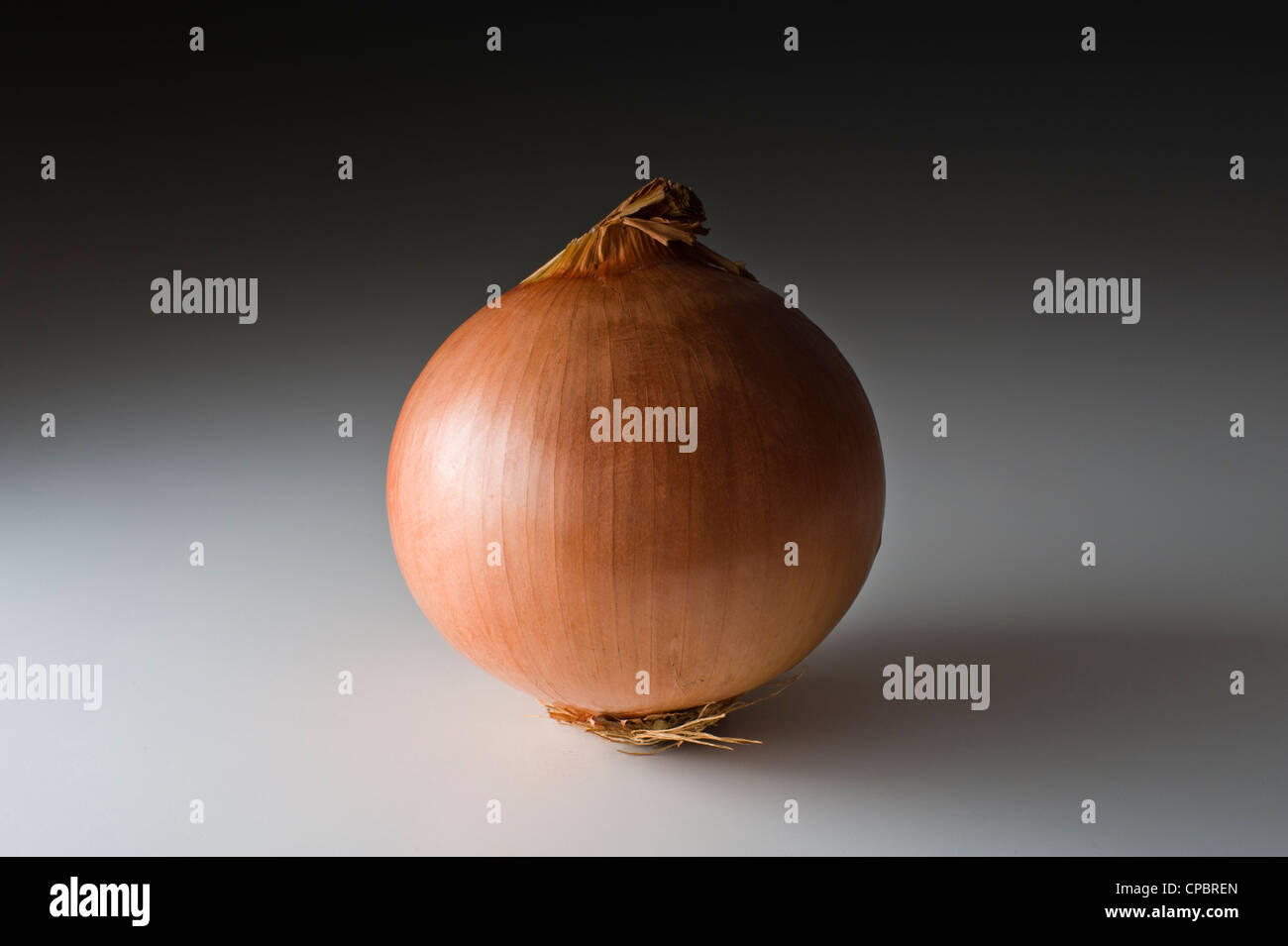 OBST UND GEMÜSE STUDIO AUFNAHMEN FRISCHEN ROHEN KARTOFFEL ZWIEBEL PFEFFER TOMATEN BIRNE KOKOS KEINE EINFACHEN HINTERGRUND Stockfoto