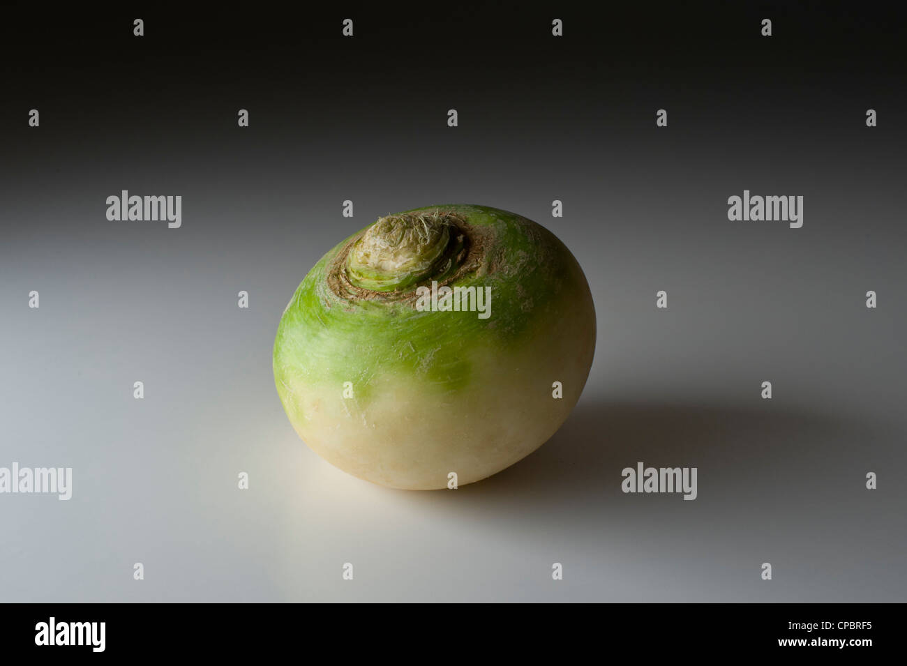 OBST UND GEMÜSE STUDIO AUFNAHMEN FRISCHEN ROHEN KARTOFFEL ZWIEBEL PFEFFER TOMATEN BIRNE KOKOS KEINE EINFACHEN HINTERGRUND Stockfoto