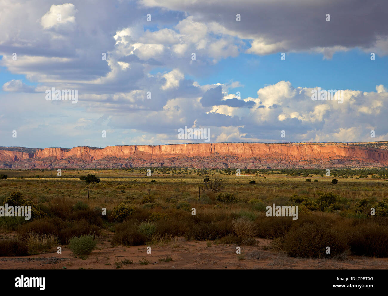 Grüne Felder und roten Felsen Landschaft, New Mexico, USA Stockfoto