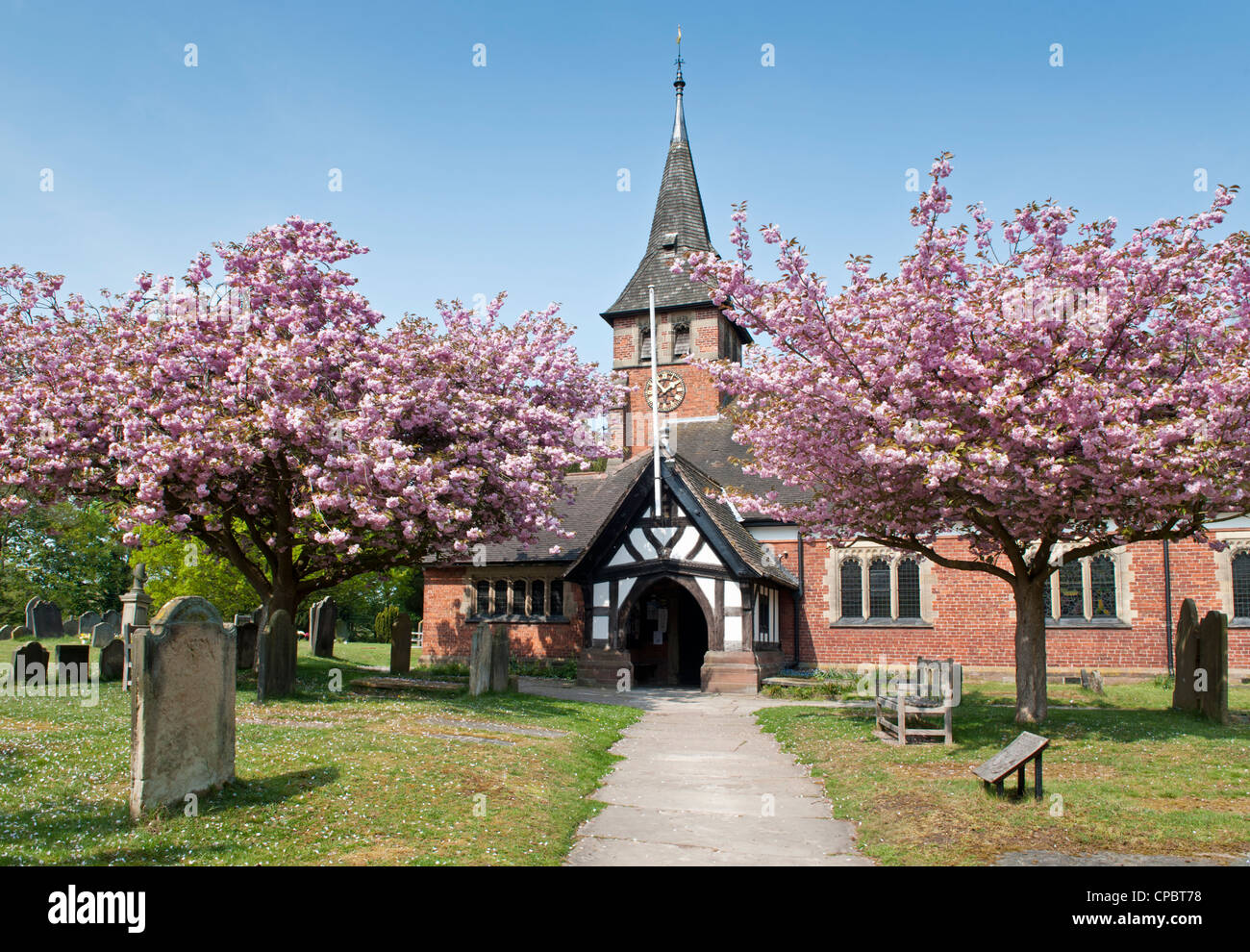 Kirschblüte außen St. Mary Parish Church, Whitegate, Cheshire, England, UK Stockfoto