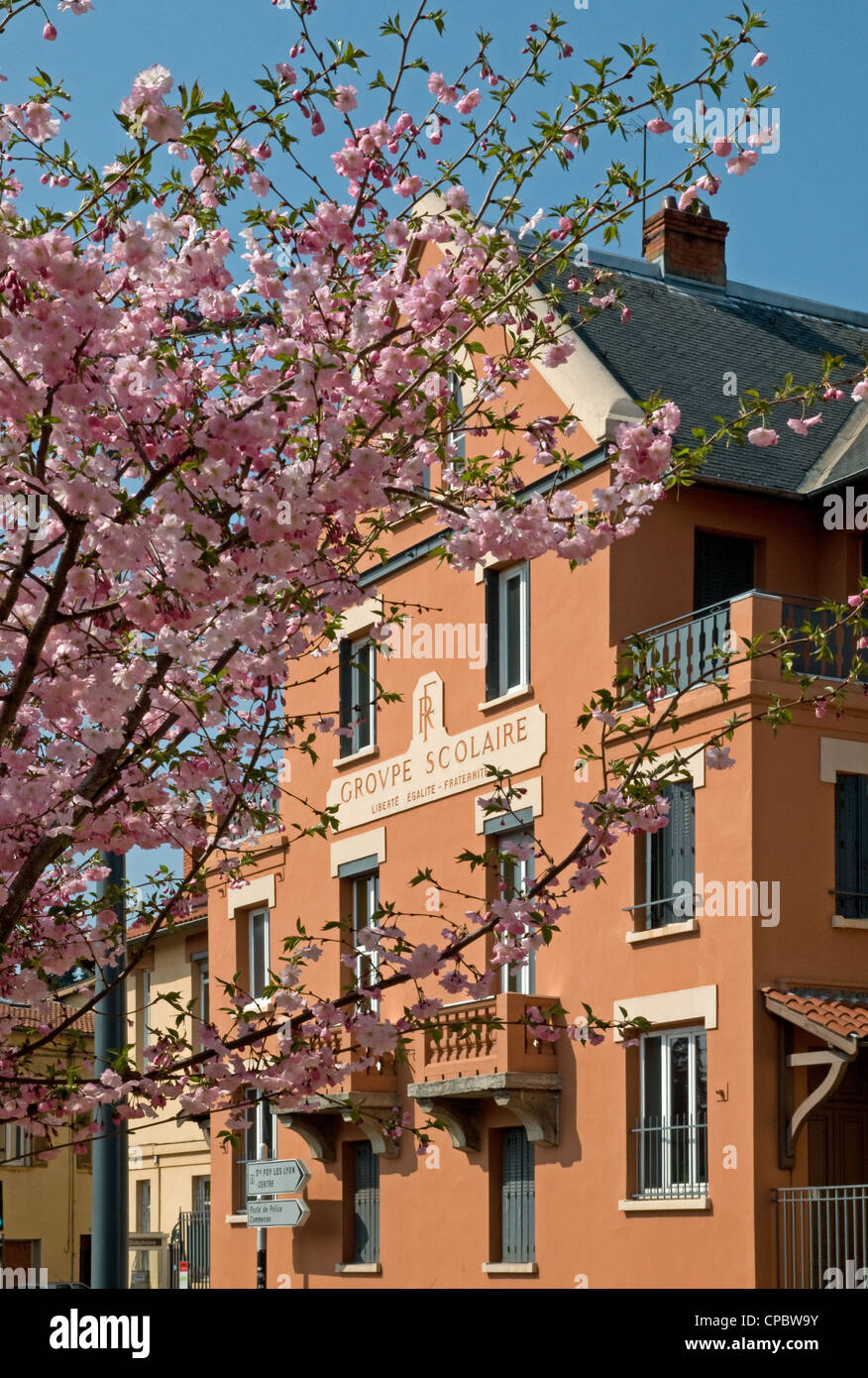 Groupe Scolaire Grundschule Ste Foy Les Lyon Frankreich in der Frühlingssonne mit rosa Blüte Stockfoto