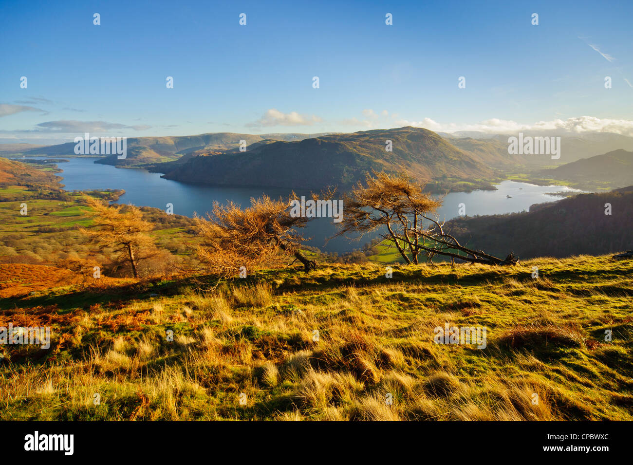 Blick über Ullswater Glencoyne Brow Lake District mit Platz fiel im Zentrum des Schusses Stockfoto